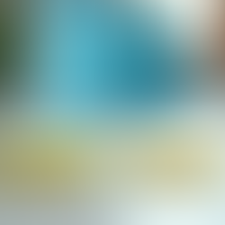 Professional Before and After Cleaning Transformations