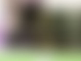 Anunciado, Orejuela já treina no Ceará e comemora: "Um dos grandes clubes do Brasil"