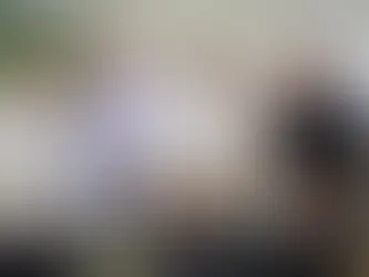 Estratégia da oposição da Alece pode inflar bancada de deputados do PSDB e esvaziar PDT e União