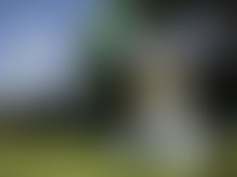 CBF anuncia mudanças em VAR e impedimento para Série A de 2023