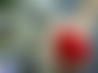 Com redução de 40% nas doações, Hemoce convoca pessoas com sangue O-