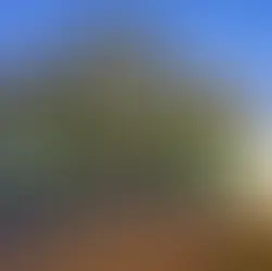 Justiça determina despejo imediato de buffet do Clube Náutico