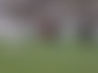 Com apenas uma vitória, Ceará tem a segunda pior campanha como mandante na Série B