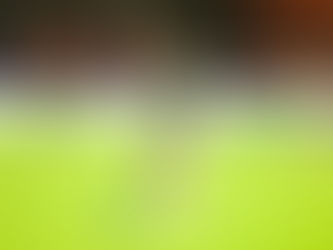 Na estreia de Guto Ferreira, Ceará perde para o Sport e segue em má fase na Série