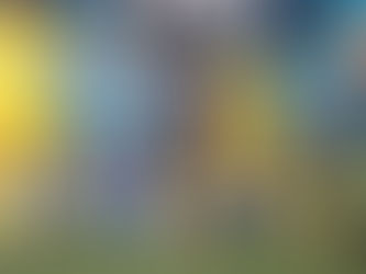 Próximo adversário do Ceará, Mirassol tem dupla ex-alvinegra: Warley e Chico