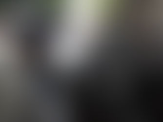 Quadra chuvosa 2023: Ceará tem 50% de probabilidade para chuvas acima da média