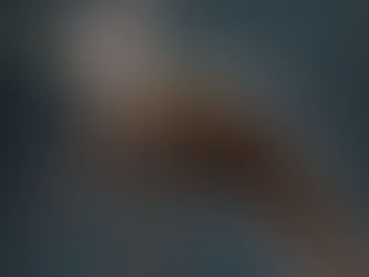 Museu do Cariri é indicado para abrigar fóssil que será repatriado da Alemanha