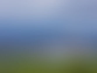 Semasp intensifica fiscalização sobre terrenos baldios em Juazeiro