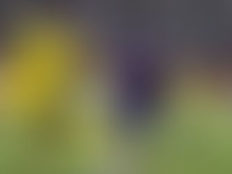 Boca Juniors x Fortaleza: veja horário, onde assistir, palpites e prováveis escalações