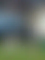 Por que o Brasileirão tem mais empates que as principais ligas europeias?