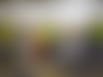 Operação Semana Santa interditará o Horto