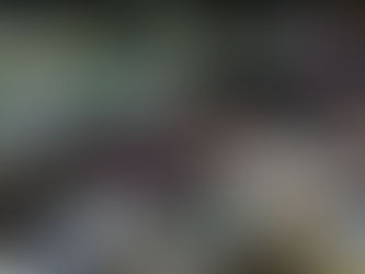 Governo do Ceará deixa Juazeiro de fora dos incentivos para festa junina