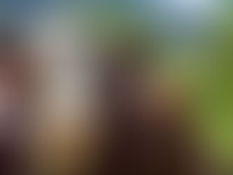 Ministério da Agricultura investiga possível caso de vaca louca no Brasil