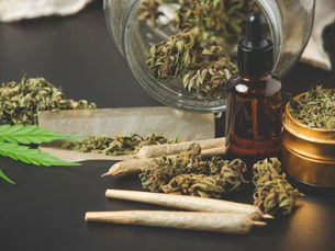 Maconha aumenta risco de psicose em adolescentes, diz estudo