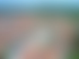 Quatro municípios cearenses têm situação de emergência reconhecida