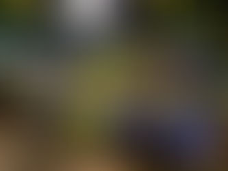 Feira dos fogos inicia nesta quarta-feira em Juazeiro