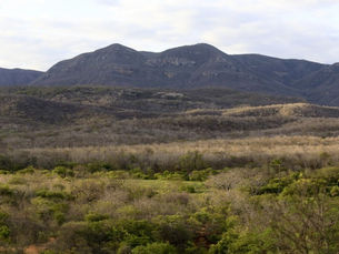 Após 4 meses, Ceará volta a apresentar área sem seca relativa