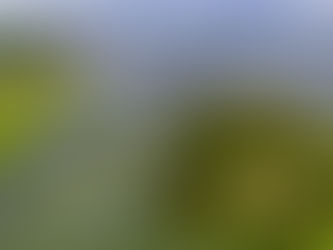 Castanhão atinge 30% da capacidade pela primeira vez desde 2014