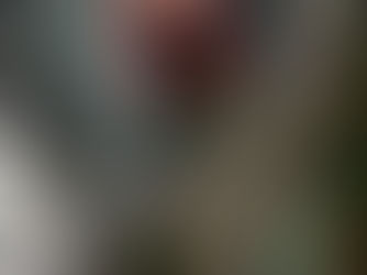 Apoiadores de Bolsonaro já ocupam quase toda a Avenida Paulista em SP