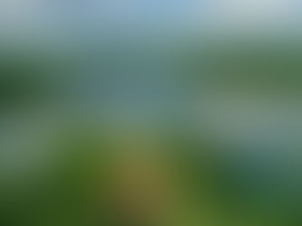 Cariri alcança o maior aporte hídrico em 15 anos