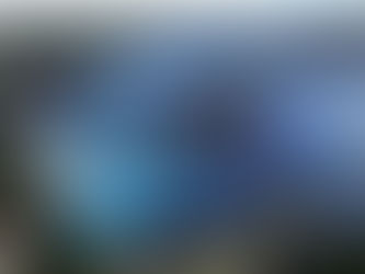 Torcedores do Fortaleza vivem expectativa de duelo inédito na Bombonera contra o Boca