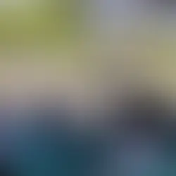 Ceará vai retirar teste de baliza da prova prática para obtenção de CNH