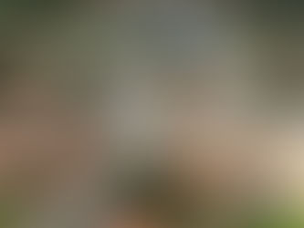 Eusébio: em disputa de ex-prefeitos, oposição espera apoio de PT e PSB contra Acilon