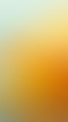 B2B Plastic Film Export Strategies from China in 2026 and the Rise of BOPET Applications