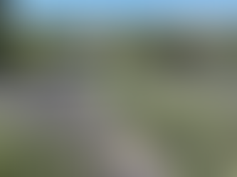 Det summer af sol og sommer i vores Lavendelsti🌞🐝🦋🌸