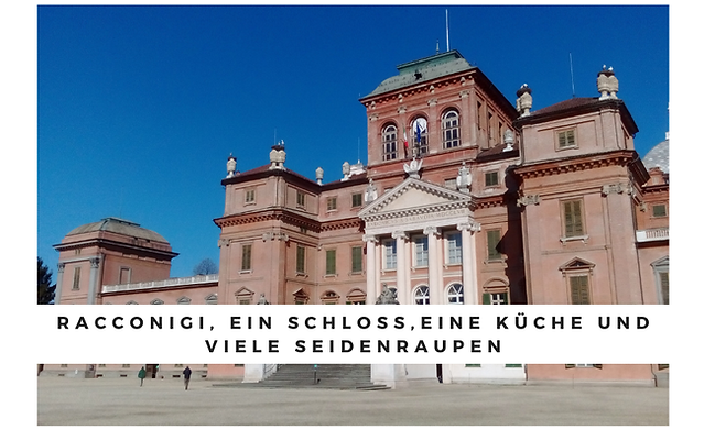 2026_06_21_Racconigi_Castello_D.png