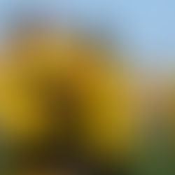 FC Chotěboř "U19" – FK Blansko 5:3 (3:2)