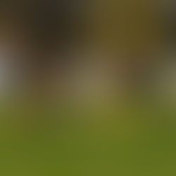 FC Chotěboř "U17" - FC Velké Meziříčí 7:2 (6:0)