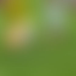 FC Chotěboř "U19" - FC Slovan Havlíčkův Brod 0:3 (0:1)