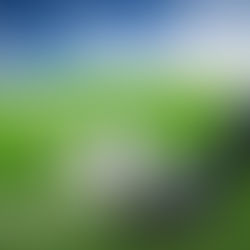 FC Chotěboř "C" - TJ Sokol Sobíňov, z.s. 7:1 (5:0)