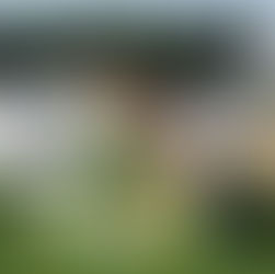 Humpolec, Polná - FC Chotěboř "ml. přípravky"