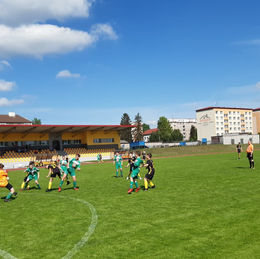 H. Borová - Víska/Chotěboř B ml. žáci 3:4 (1:4).