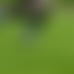 SFK Vrchovina - FC Chotěboř "U19" 0:3 (0:2)