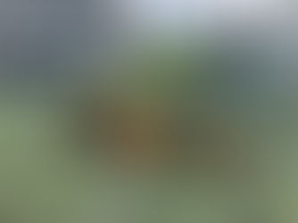 FC Chotěboř "ml. přípravka" - Vrchovina, Třešť