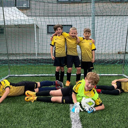 FC Chotěboř "ml. přípravka" - Vrchovina, Nedvědice