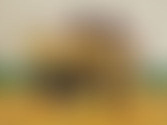 FC Chotěboř "ml. přípravka" - Vánoční turnaj Chotěboř