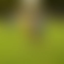 Chotěboř "dorost B" – Golčův Jeníkov 1:2 (1:2)