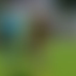 FC Chotěboř U19 – SC Znojmo B 5:1(3:1)