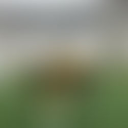 FC Chotěboř "ml. přípravka" - Kamenice n/L, Velké Meziříčí