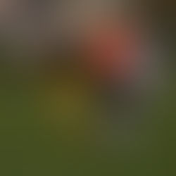 FC Chotěboř "A" - SFK Vrchovina “B“ 3:0 (1:0)