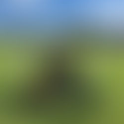 Pelhřimov, Kamenice nad Lipou - FC Chotěboř "ml. přípravka"