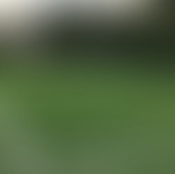 FC Velké Meziříčí - FC Chotěboř "U19" 3:2 (2:0)