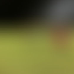 FC Chotěboř "ml. žáci" - soustředění