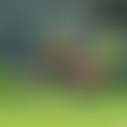 FC Chotěboř "B" – TJ Sokol Rozsochatec 3:2 (0:1)