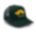 Classic Green Right.png