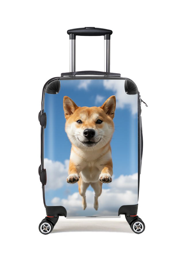 Flying Shiba Inu